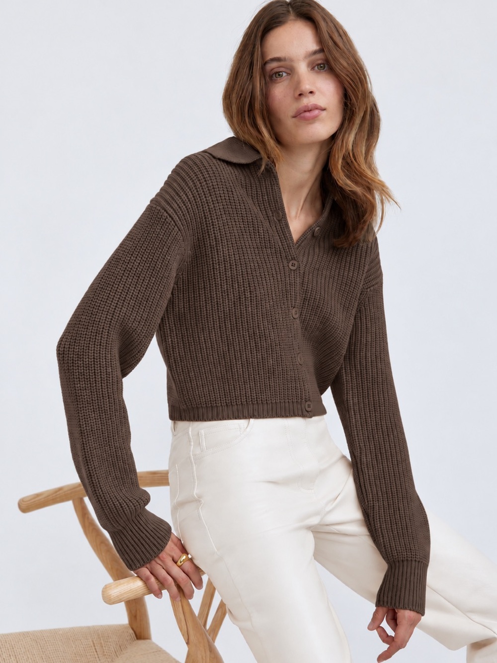 Wilfred Nextdoor Cardigan | Dark Brown Cropped Button-Front Collared Knit